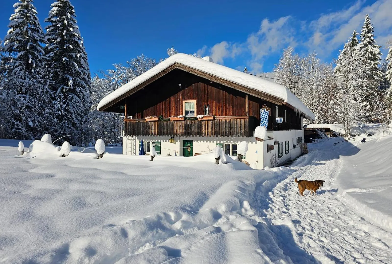 Vila Nattersbergalm Reit im Winkl 0*,